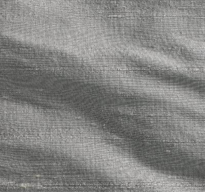 Soie Sauvage Argent 235