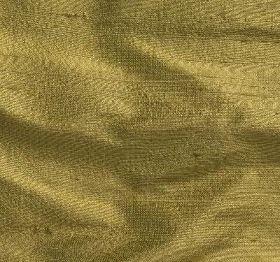 Soie Sauvage Gooseberry 249