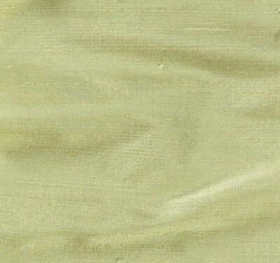 Soie Sauvage Pistachio 56