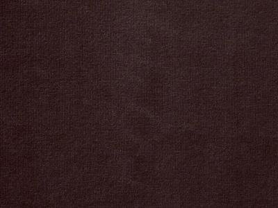 Velours Uni Eden 100% coton Houlès Prune 9820