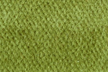 Velours de Coton Unis 665PINE-GREEN