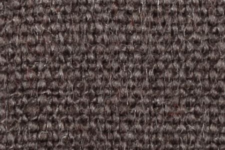 Lin MonteCarlo CHARCOAL