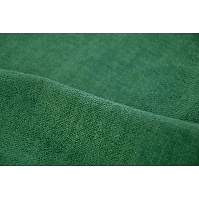Chlorophylle 3033