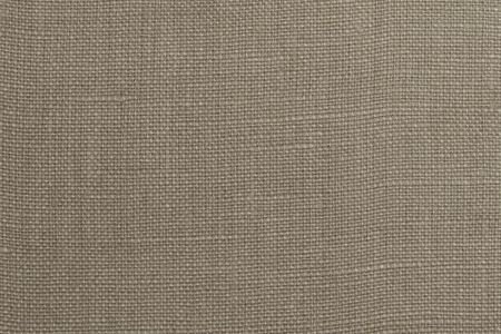 Lin Uni Visp Dove