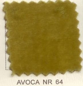 Avoca