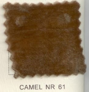 Camel