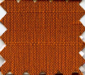 Tortoise Shell