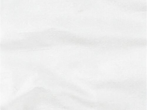 Soie Sauvage Orissa Smooth Ivory