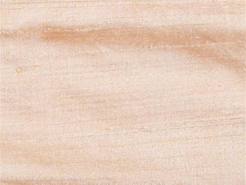 Soie Sauvage Orissa Apricot