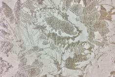 Soieries jacquard